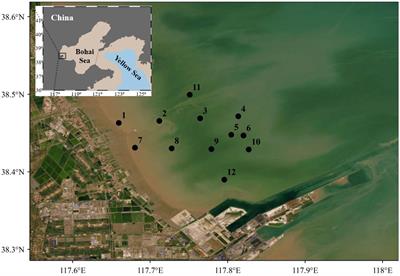 Insights into the plankton community seasonal variations in a finer scale of the Bohai Sea: biodiversity, trophic linkage, and biotic-abiotic interplay